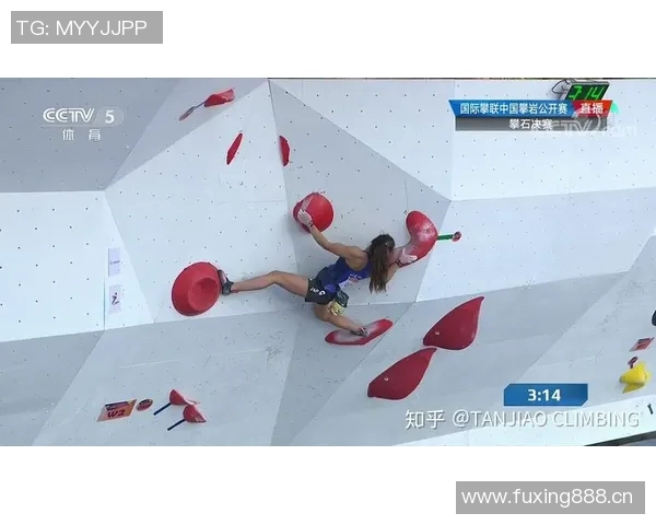 成都攀岩队个人能力表现的数据分析与提升策略探讨