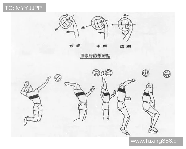 杨强独家分享排球技巧与心得助你提升球技的全面指南