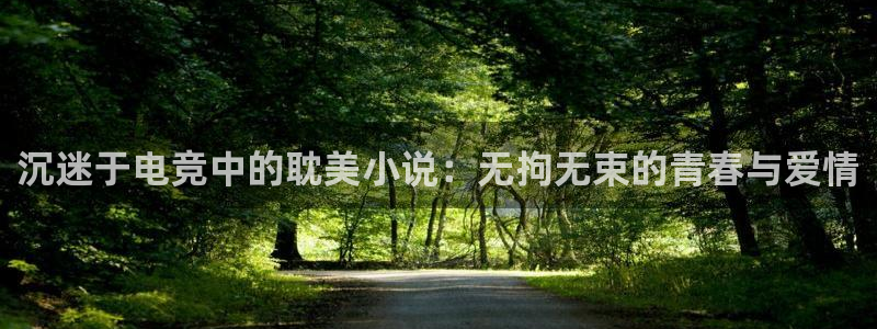 火狐电竞APP下载：沉迷于电竞中的耽美小说：无拘无束的青春与爱情