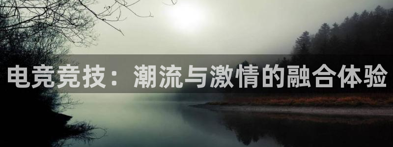 火狐电竞app-官网下载：电竞竞技：潮流与激情的融合体验