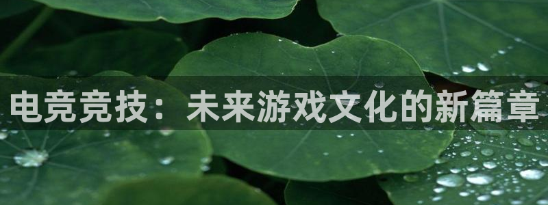 火狐电竞宾馆：电竞竞技：未来游戏文化的新篇章