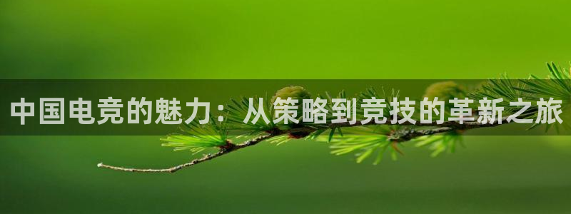 火狐电竞在线入口官网：中国电竞的魅力：从策略到竞技的革新之旅