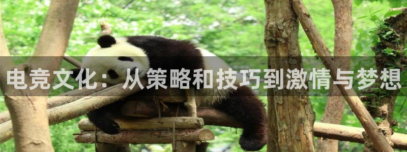 火狐电竞官网：电竞文化：从策略和技巧到激情与梦想